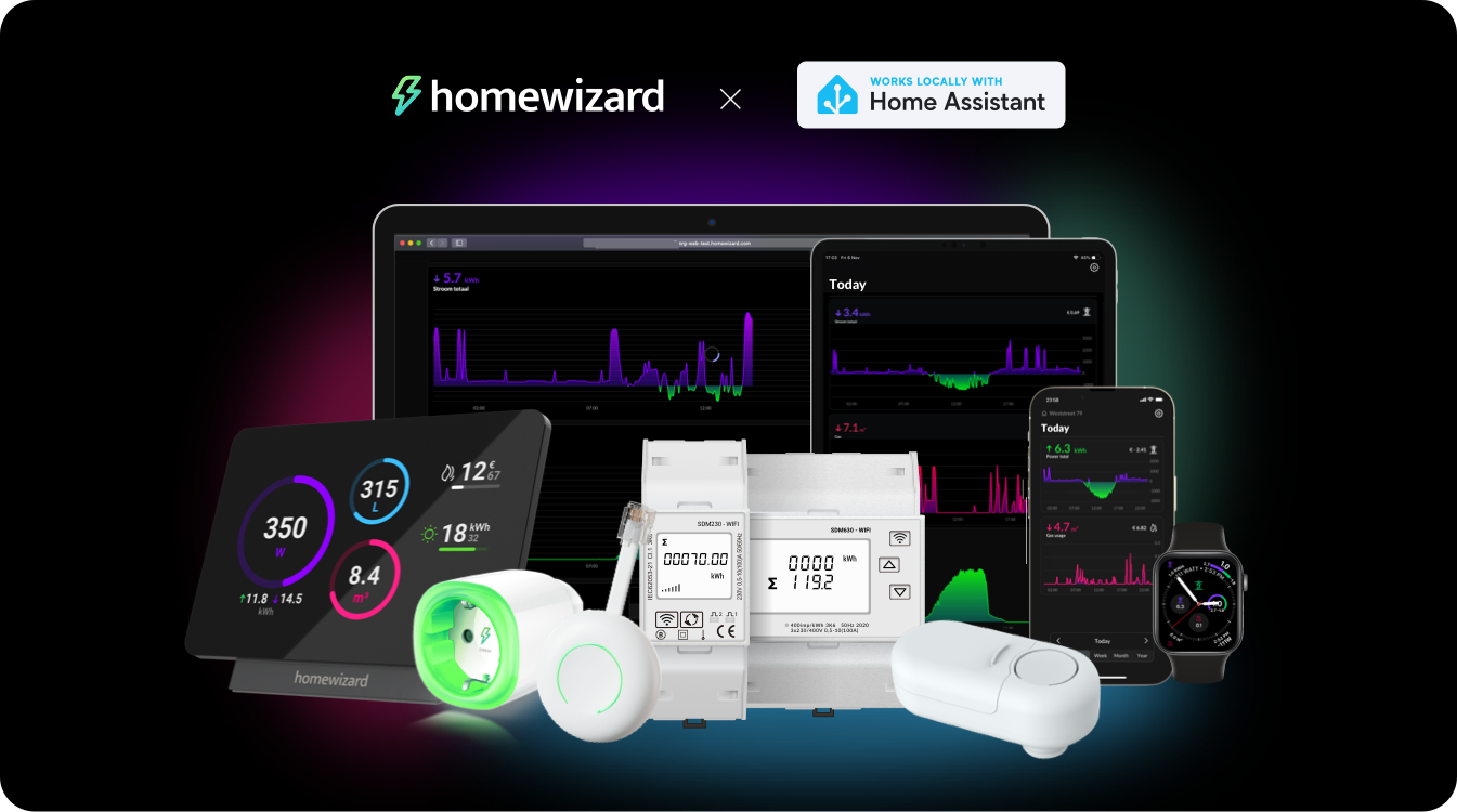 HomeWizard works locally with KS Assistant